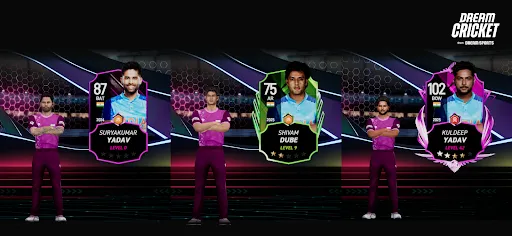 Dream Cricket 2025 screenshot