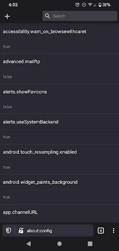 Firefox Nightly for Developers screenshot