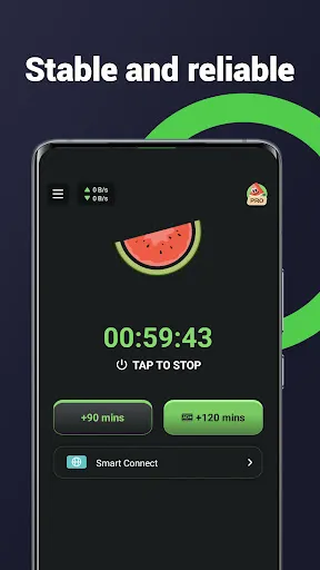 Melon VPN - lowcost proxy fast screenshot