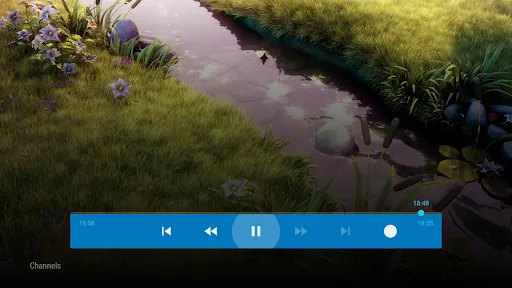 PVR Live screenshot