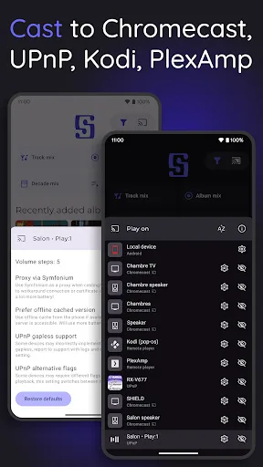 Symfonium: Music player & cast screenshot