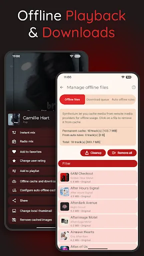 Symfonium: Music player & cast screenshot