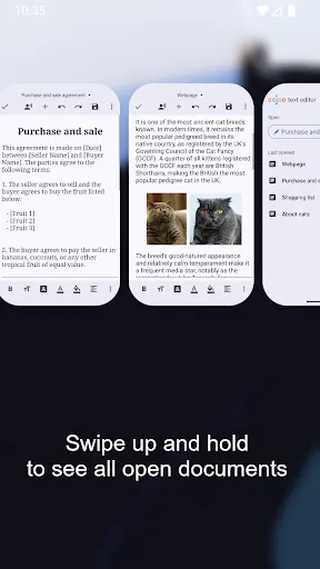 Text Editor screenshot
